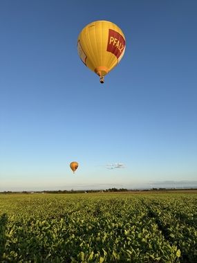 绿色原野蓝色天空黄色热气球图片